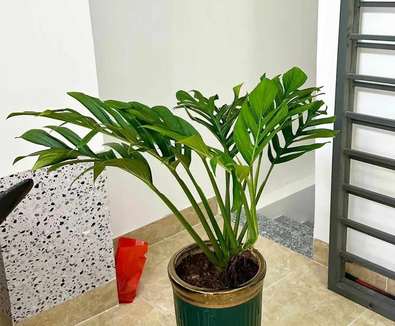 Sweet Rentals Homes - Cozy Studio W Kitchen & Netflix Ho Chi Minh City 0*,  Vietnam